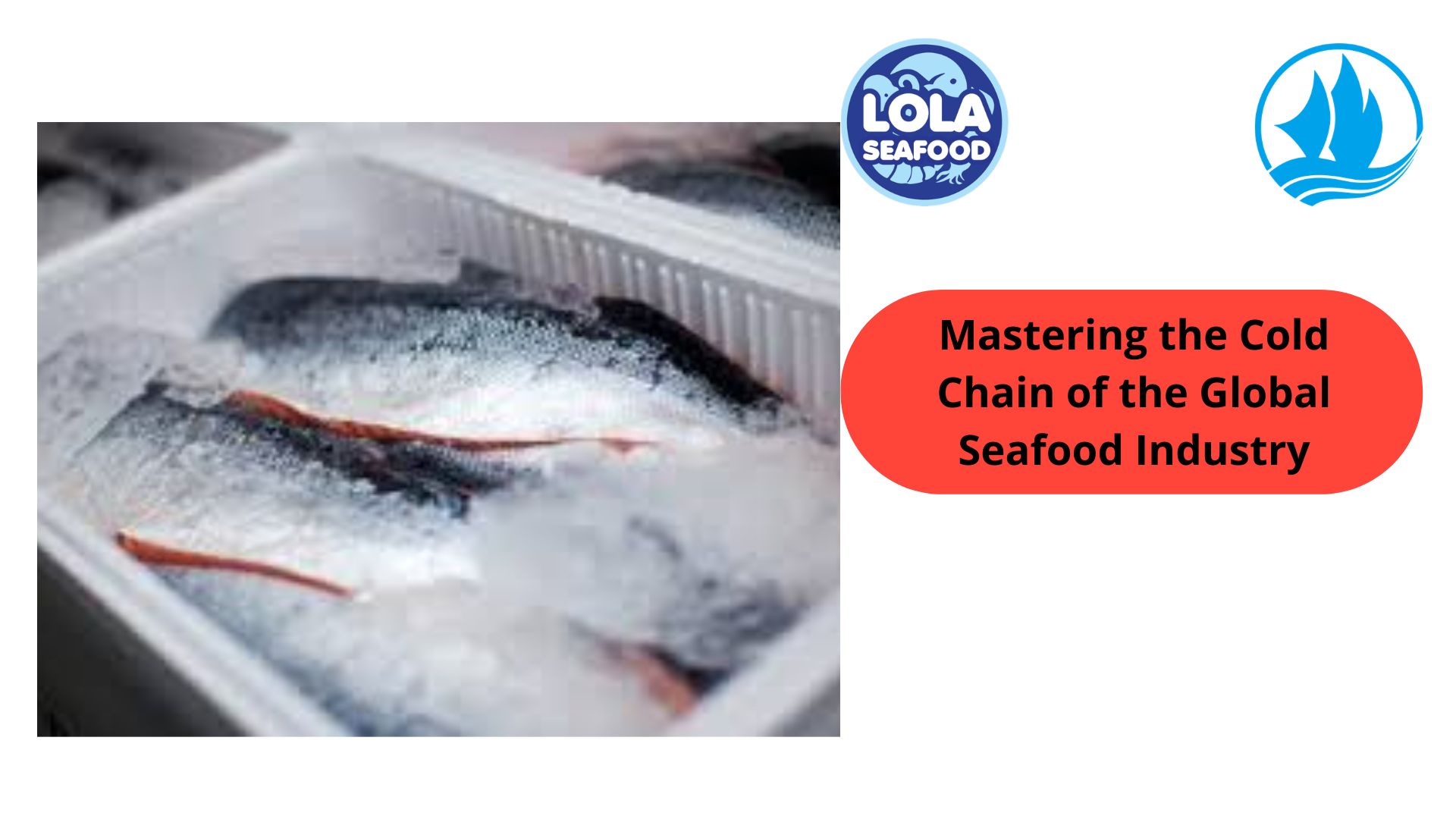 Mastering the Cold Chain of the Global Seafood Industry